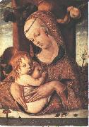 CRIVELLI, Carlo Virgin and Child dfg oil painting